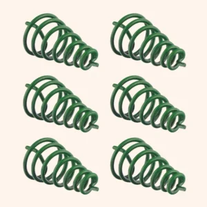 GREEN CLOCK WISE SPRING SET 6