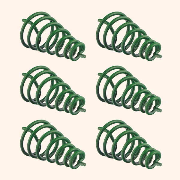 GREEN CLOCK WISE SPRING SET 6